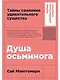 Душа осьминога: Тайны сознания удивительного существа - фото 1