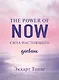 The power of now. Cила настоящего. Дневник (Цветной блок) - фото 1