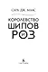 Королевство шипов и роз - фото 14