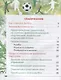 Физическая культура. Футбол для всех 1-4 класс. Учебное пособие - фото 2