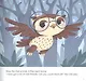 Сова в зоопарке/ The Owl at the Zoo - фото 2