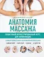 Анатомия массажа. Пошаговый иллюстрированный курс для начинающих - фото 1
