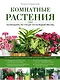 Комнатные растения: календарь по уходу на каждый месяц - фото 1
