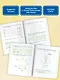 Учусь считать. 4-5 лет - фото 5