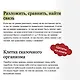 Морфология волшебной сказки. Исторические корни волшебной сказки - фото 7