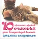 Кошка в дом - счастье в нем. 10 простых уроков счастья для владельцев кошек (комплект из 4 книг) - фото 1