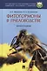 Фитогормоны в пчеловодстве.Монография. - фото 1