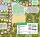 Тверская область. Большое путешествие. Настольная игра - фото 4