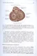 Патофизиология сердечно-сосудистой системы - фото 5