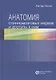 Анатомия спинномозговых нервов и доступы к ним - фото 1