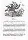 Легкая классика для детей. Алиса в Стране чудес - фото 3