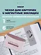 Набор чехол для карточек и магнитные закладки «Писатели. Серебряная коллекция» - фото 1