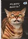 Тетрадь А4 80л кл. "Котики" мел.картон, твин-лак, наклейки, евроспираль - фото 1
