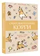 Очаровательные корги: походка, которая вдохновляет! - фото 3