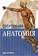 Спортивная анатомия - фото 1