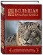 Большая красная книга - фото 3