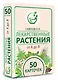 Лекарственные растения от А до Я. 50 карточек - фото 3