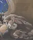Книжки-картинки. Зайчик, который сбежал из дома - фото 3