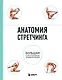 Анатомия стретчинга. Большая иллюстрированная энциклопедия - фото 1