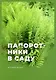 Папоротники в саду - фото 1