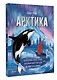 Арктика - фото 3
