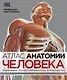 Атлас анатомии человека (DK). Подробное иллюстрированное руководство - фото 1