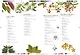 Remarkable plants - фото 3