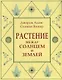 Растение между солнцем и землей - фото 1