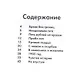 Образы русской истории Сергея Иванова - фото 2