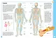 Первый атлас анатомии человека - фото 9