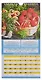 Календарь 2026г 165*335 "Садово-огородный лунный календарь" настенный, на спирали - фото 3