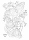 OUTLINES. Раскраска «Мир бабочек» - фото 5