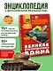 Великая Отечественная война - фото 4