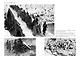Великая война 1914-1918 - фото 3