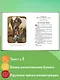 Чудесный доктор. Рассказы (ил. Е. Захаревич) - фото 5