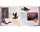 Harry Potter – Magical Creatures: A Movie Scrapbook - фото 4