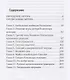 Любовь Бешеного - фото 2