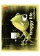 Тетрадь в клетку Hatber, "Лягух Кир", 48 листов, в ассортименте - фото 6