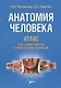 Анатомия человека. Атлас для стоматологов, стоматологов-ортопедов - фото 1