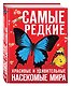 Самые редкие, красивые и удивительные насекомые мира - фото 3