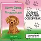 Щенок Фред, или Уплывший дом - фото 4
