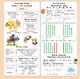Календарь младшего школьника. 2 класс. 2026/2027 учебный год - фото 4