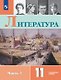 Литература. 11 класс. Учебник. В 2-х частях. Часть 1. Углублённый уровень - фото 1