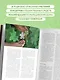 Дикие травы: как найти целебные продукты и создать собственные натуральные лекарства - фото 5