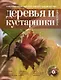 Современное декоративное садоводство Деревья и кустарники  Энциклопедия/ (+CD) - фото 1