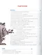 Энциклопедия. Путешествие по городам Мира - фото 6