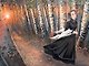 Вишневый сад. Пьесы - фото 12