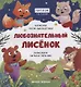 Любознательный лисенок - фото 1