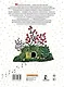 Сказки и стихи - фото 2