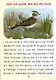 Читаем по слогам. Крупные буквы. Читалочки-познавалочки. Рассказы: слоговой тренажер - фото 2
